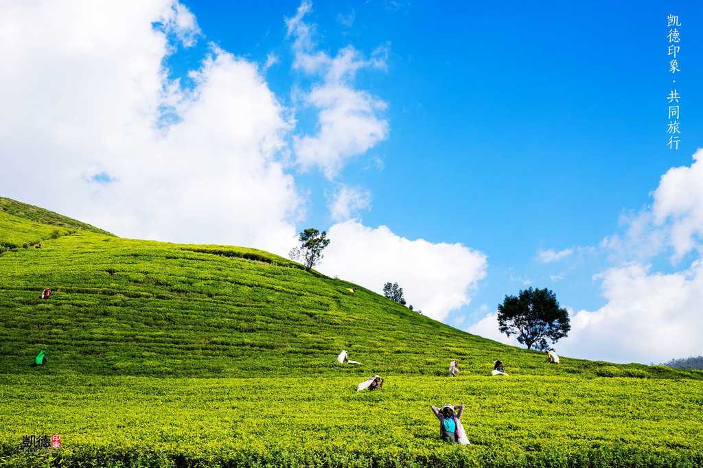 斯里兰卡正式推出数字游民签证，吸引远程专业人士长期居留