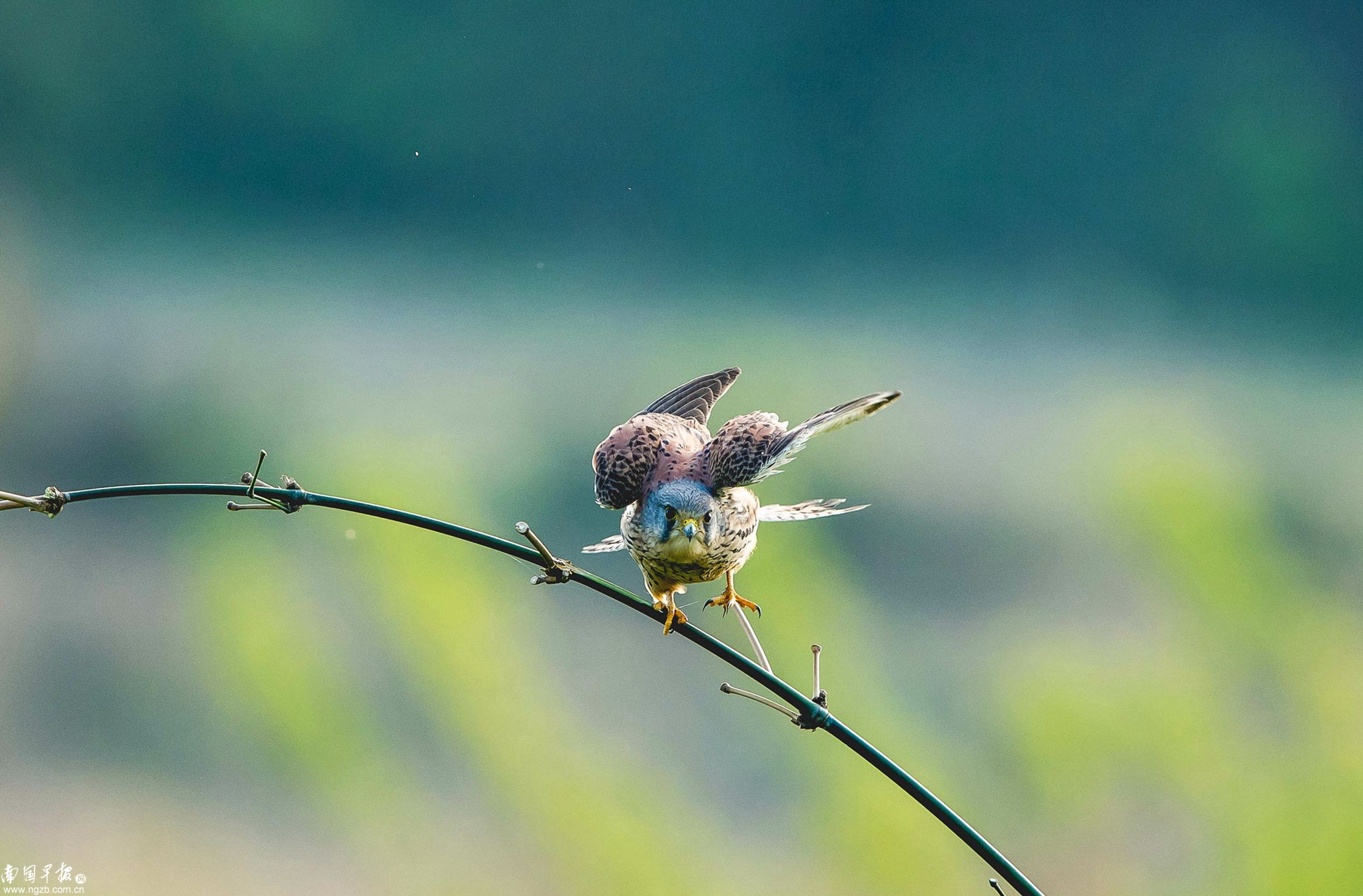 立方风控鸟·早报(3月14日)