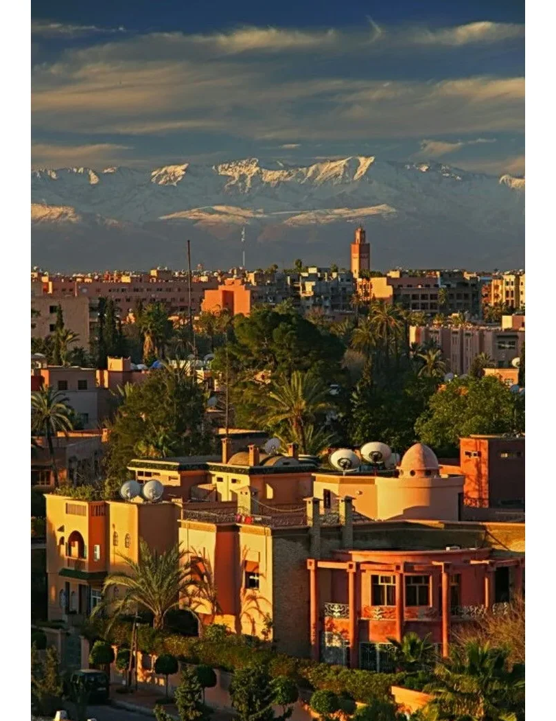 摩洛哥巩固在欧洲市场的出口优势