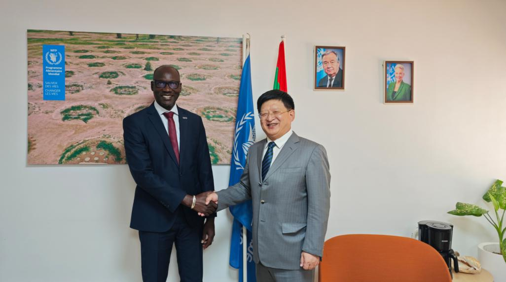 唐中东大使调研考察毛里塔尼亚恩迪亚戈港