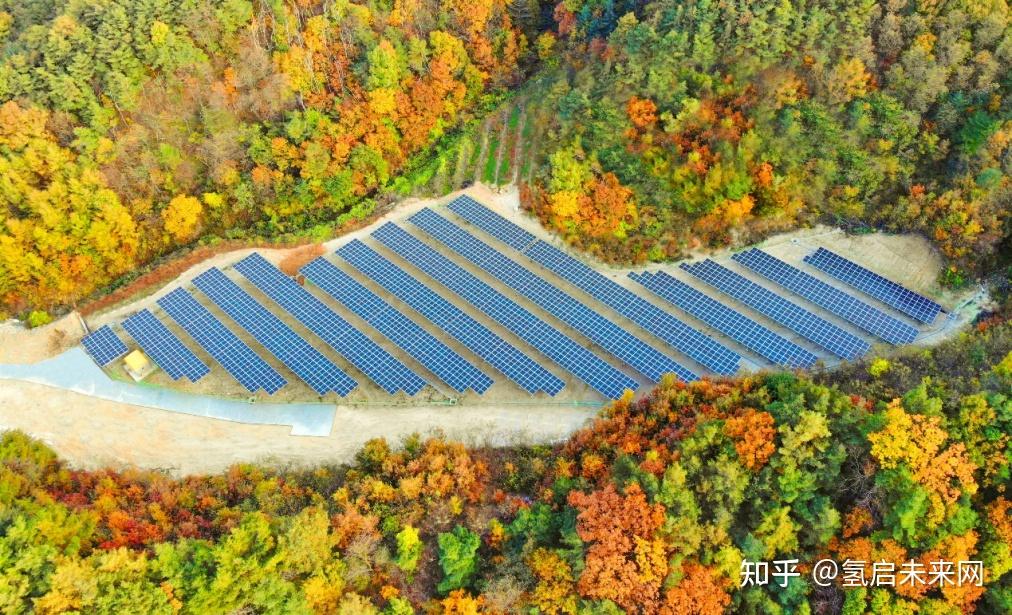 OSL集团收入创新高 转型成功加速全球扩张