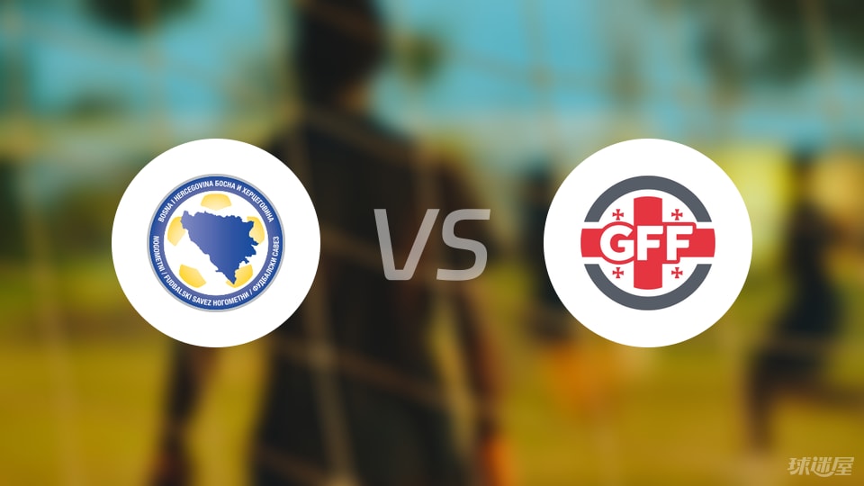 中国公民2025年获波黑工作许可461份,居外籍人士第六位