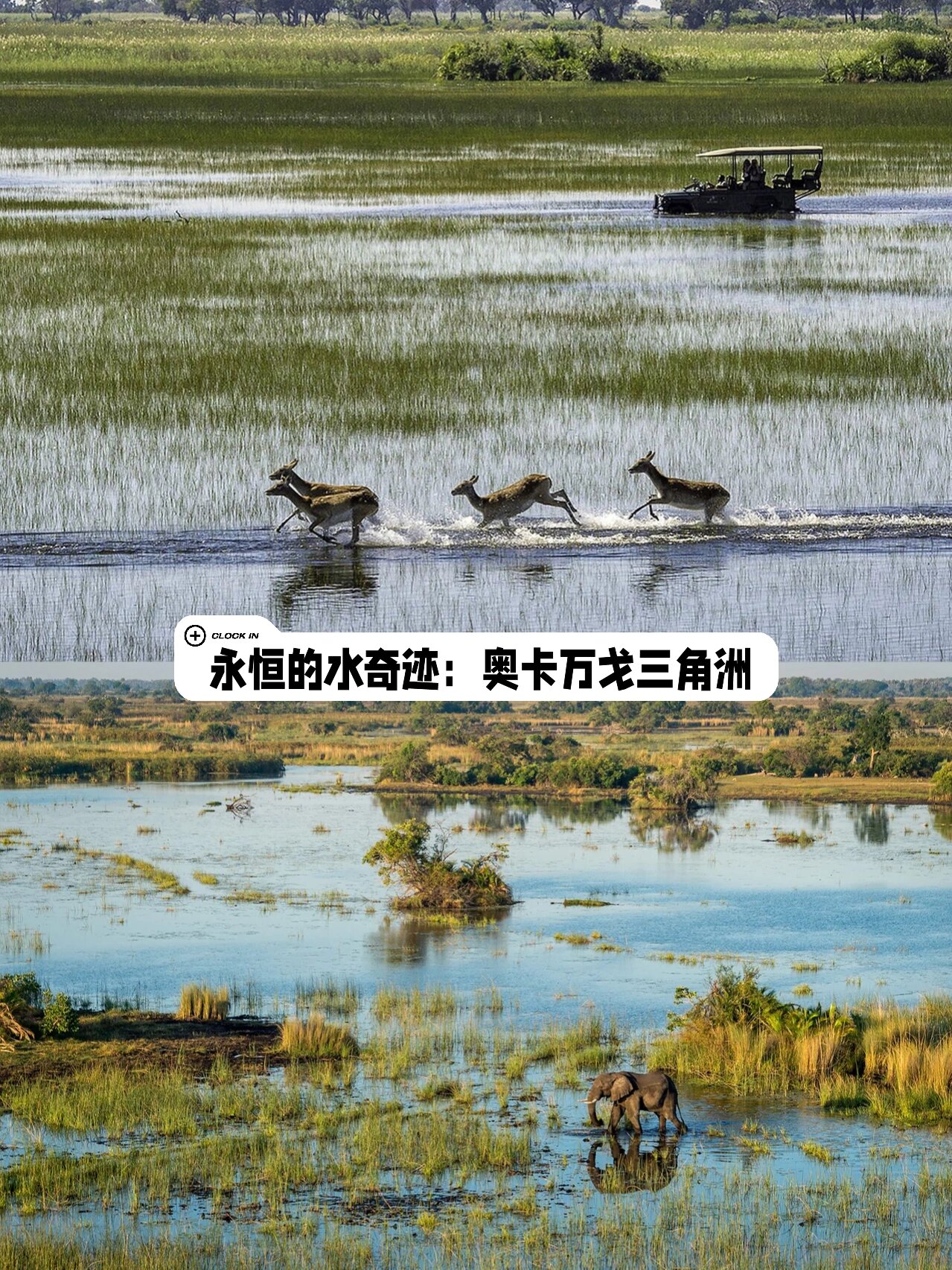 南部非洲六个国家将漫游费削减了98%