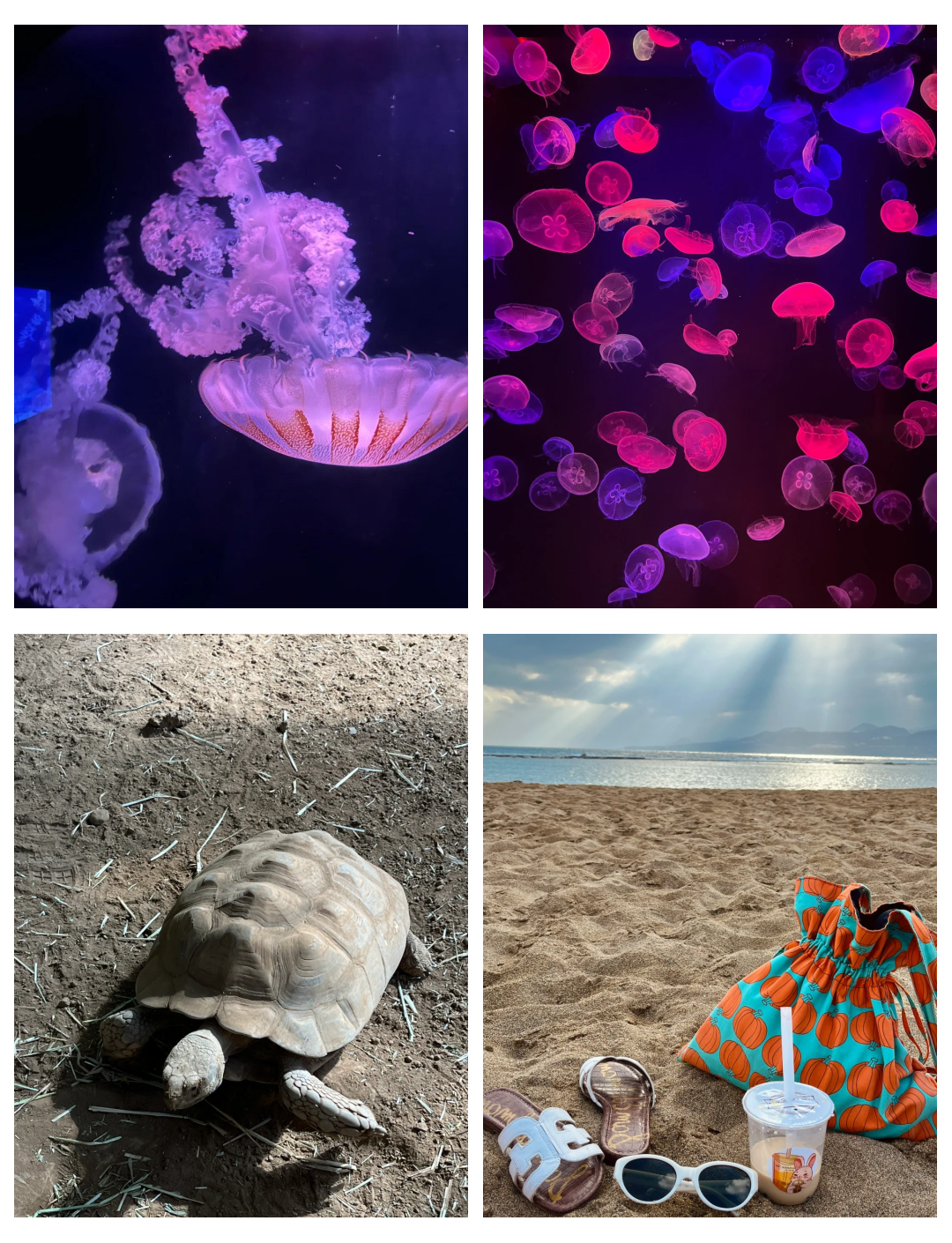 加纳央行预测加纳公共债务将降至6410亿加纳塞地