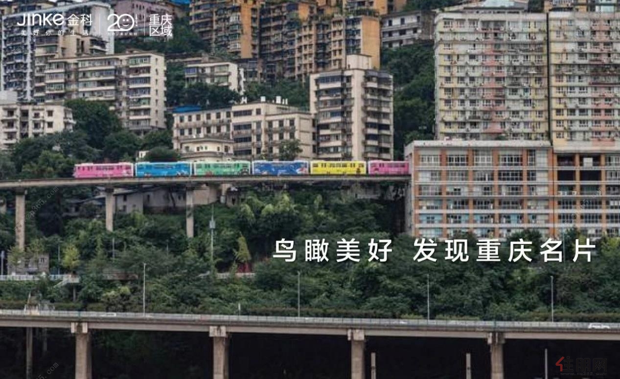 越南启拍国家域名“.vn” 增值数字资产