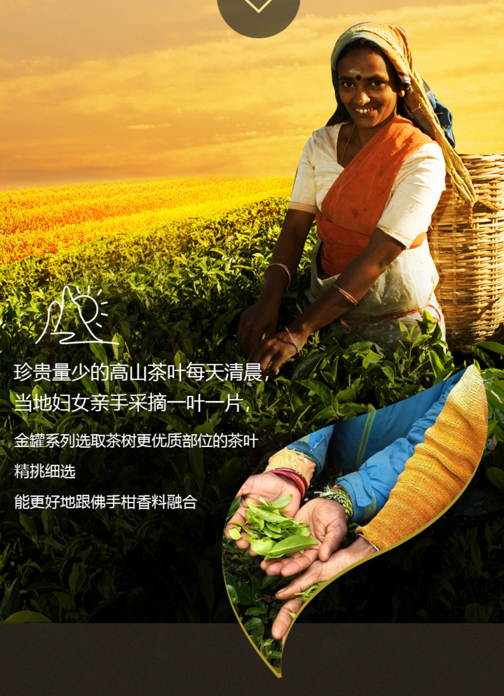 斯里兰卡茶叶价格连续三个月下滑